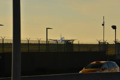 DSC_5701 (Large).JPG